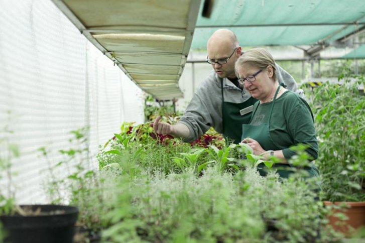 Der Garten als Ort der Gesundheit
