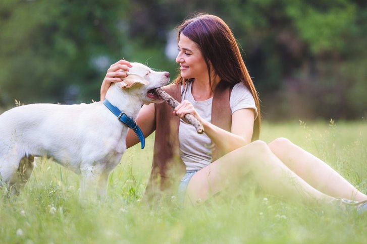 Reha mit Hund